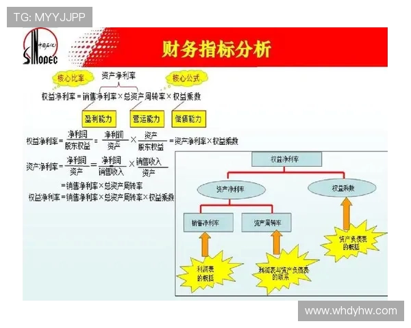 CFO与FNC角色差异分析：财务管理与风险控制的核心对比