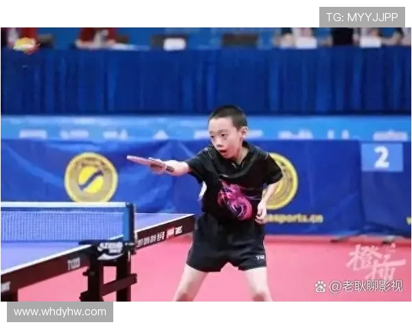 乒乓球运动的魅力与发展探究及其对青少年身心健康的积极影响