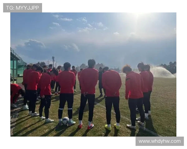 上海足球队在锦标赛中的实力分析与未来展望