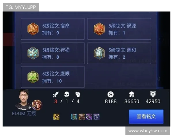 王者荣耀EDG战队团队协作深度解析与成功秘诀分享