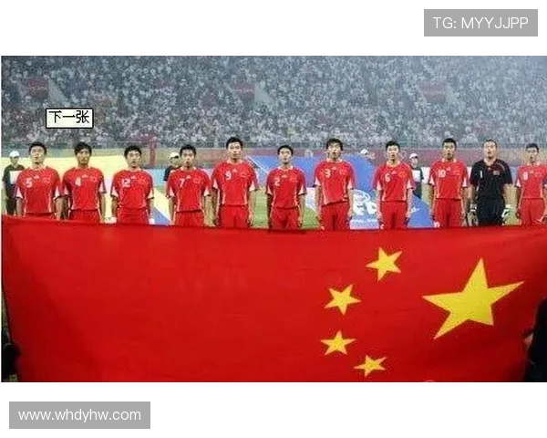 赛后分析：北京飞盘队与上海飞盘队的实力对决与战术探讨