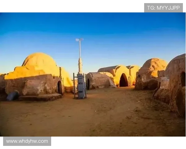 中国与突尼斯激战全场精彩集锦回顾与分析