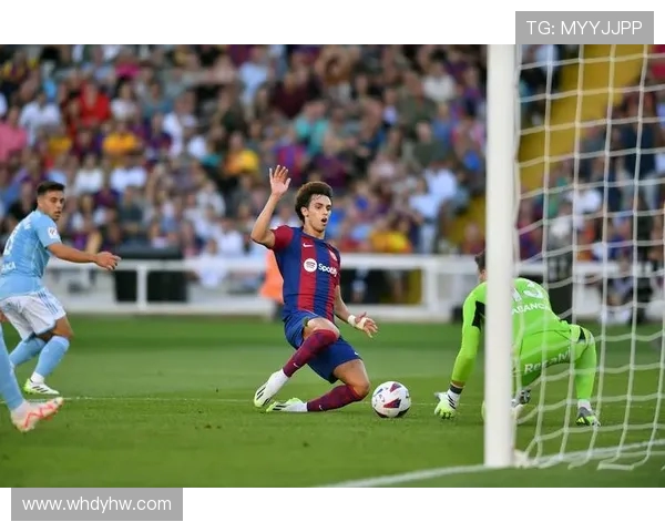 坎塞洛：从边缘球员到球队核心的华丽转身与未来展望